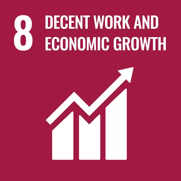 Goal 8, decent work and economic growth.