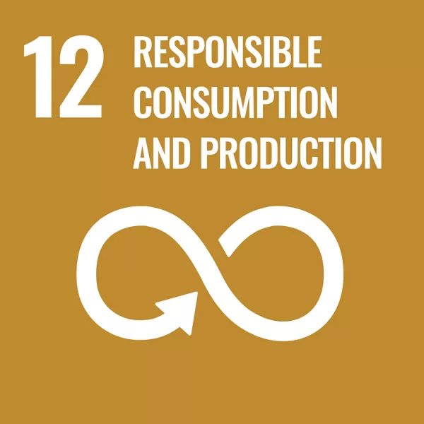 Goal 12, responsible consumption and production.