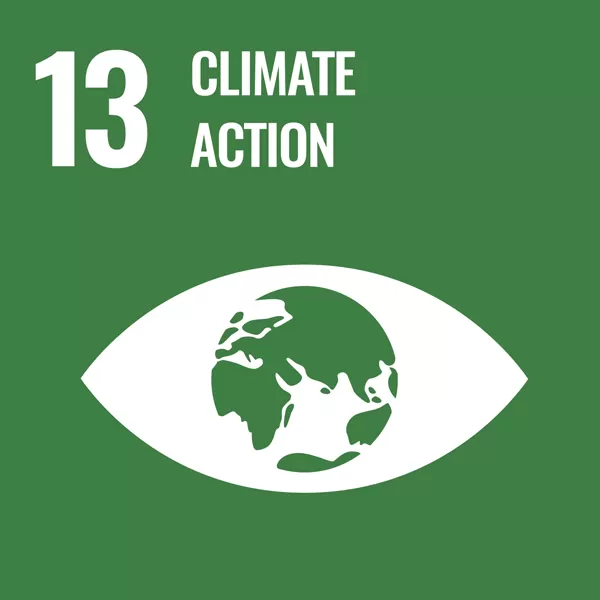 Goal 13, climate action.