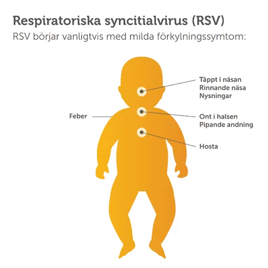 Respiratoriska syncitialvirus (RSV) symtom grafik