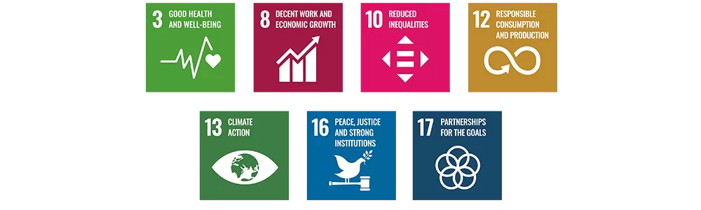 SDG goals combined
