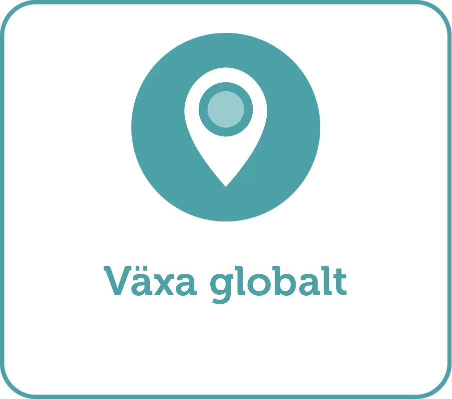 Strategy_Växa globalt