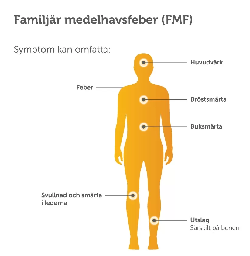 familjär-medelhavsfeber-fmf