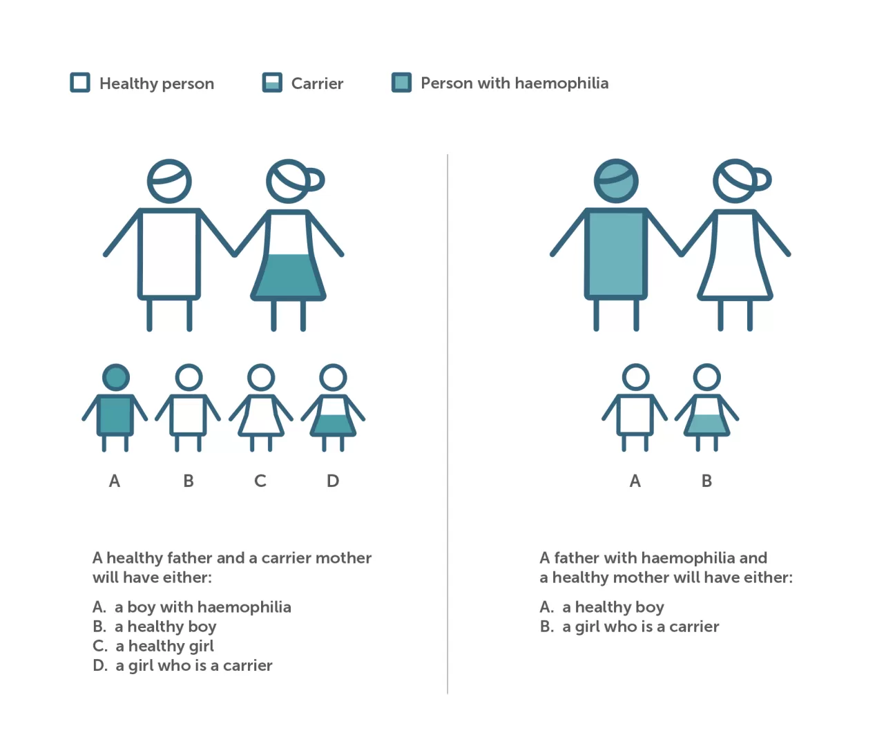haemophilia carriers infographic