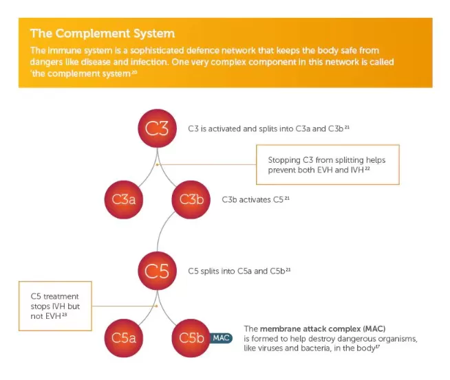 Sobi explanation, the complement system.
