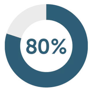 80-percent-circle-diagram.png